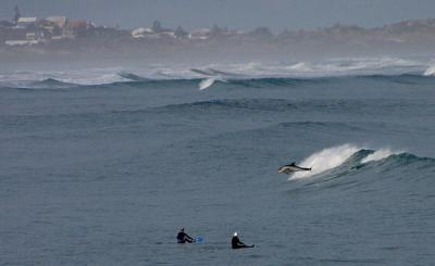 IMG_7858copy600.jpg