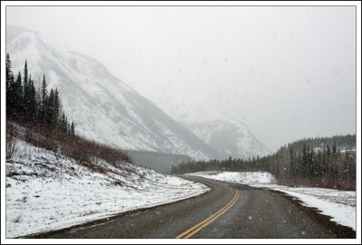 Along The Way...