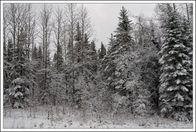 Along The Way...