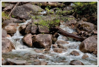 Shannon Falls-04.jpg