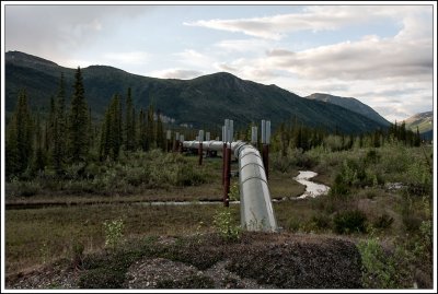 Oil Pipeline...