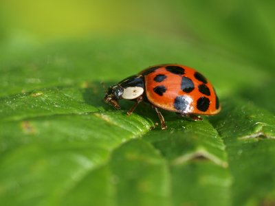 P5310006.JPG