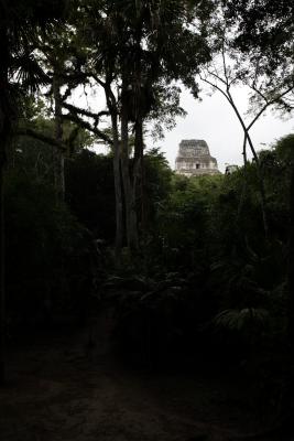 tikal030.JPG