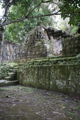tikal041.JPG