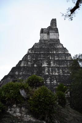 tikal075.JPG