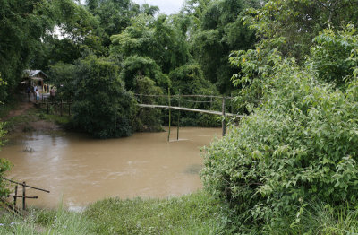 Footbridge to rice paddy, Xieng Kouang Prov. Laos