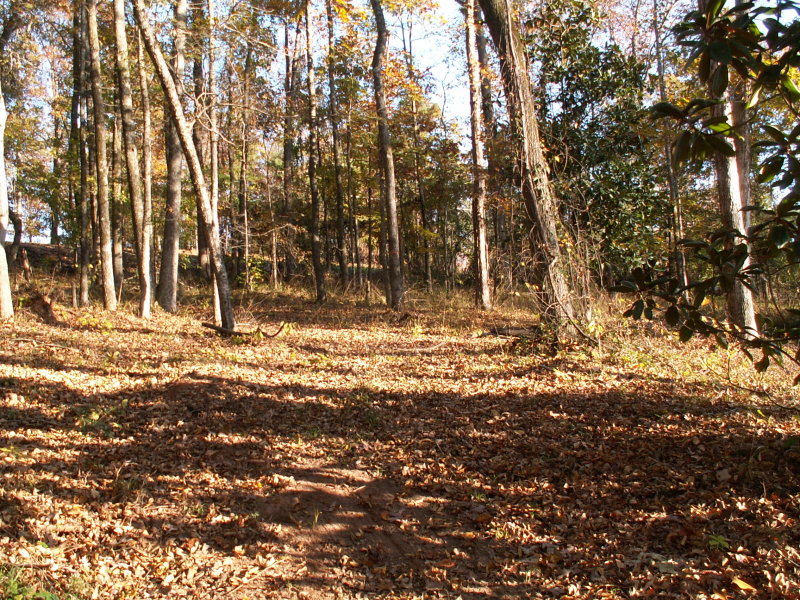 PICT2222.JPG