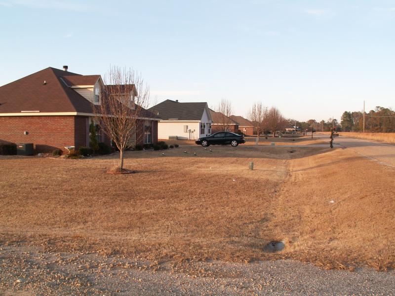 PICT0372.JPG