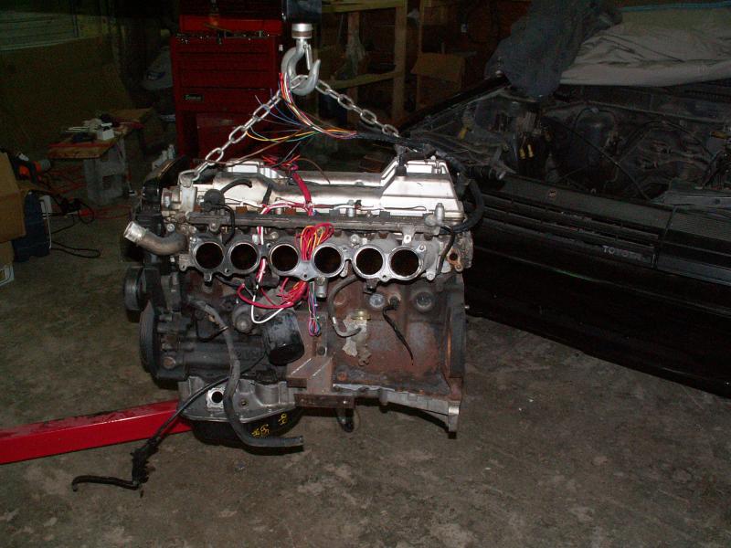 PICT0409.JPG
