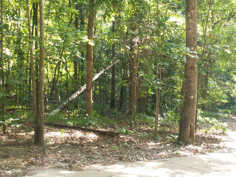 PICT1783.JPG