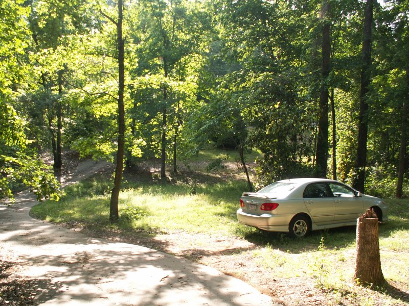 PICT1787.JPG