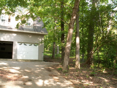 PICT1794.JPG