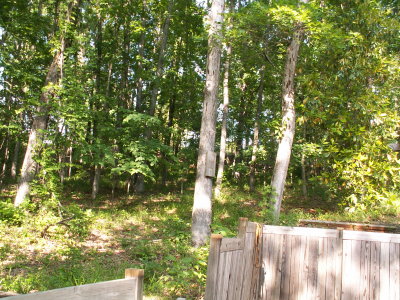 PICT1767.JPG