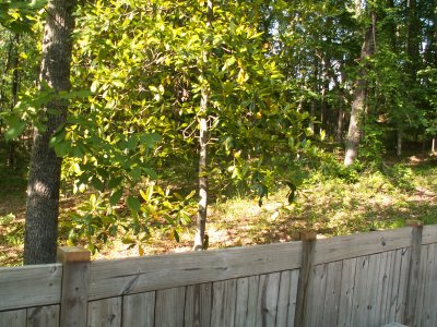 PICT1769.JPG