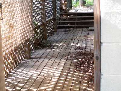 PICT1776.JPG