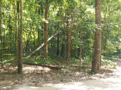 PICT1783.JPG