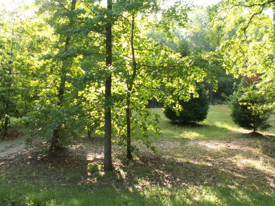 PICT1792.JPG