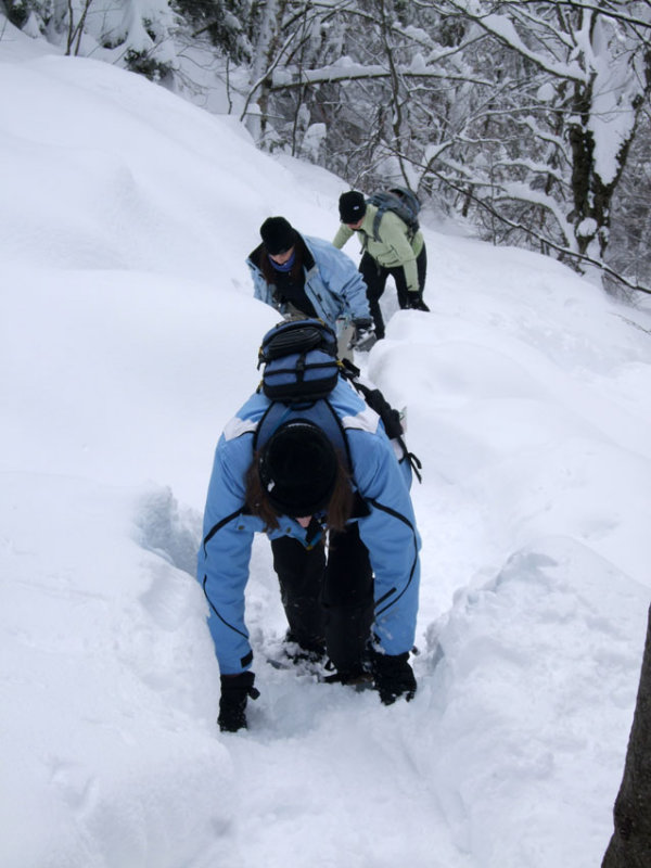 DSCF2112ps 850h.jpg
