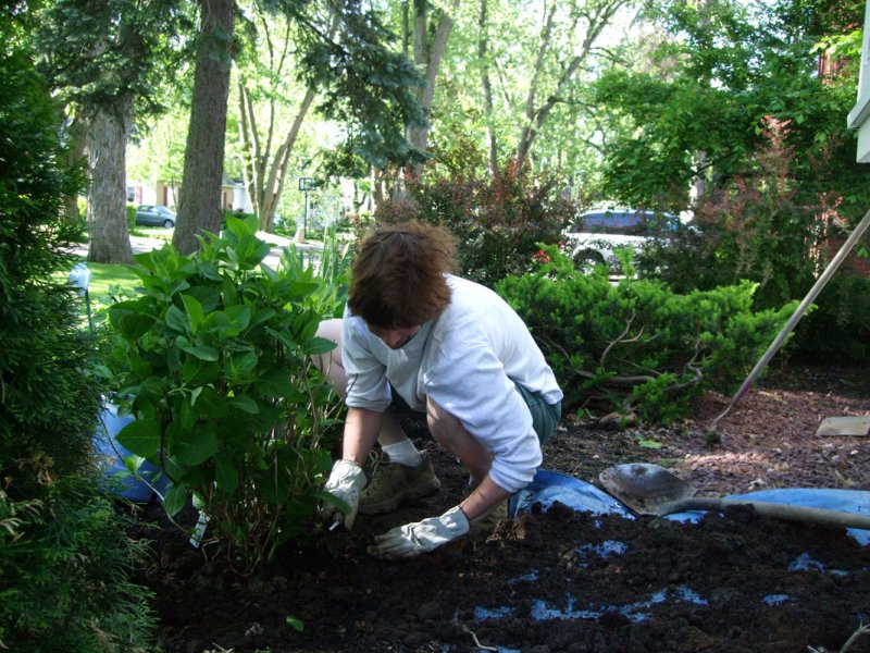 Garden Project