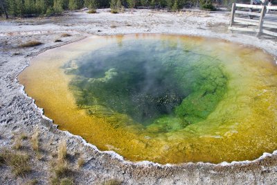 Morning Glory Pool