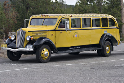 Old Yellow Bus