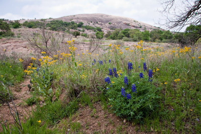 Enchanted Rock