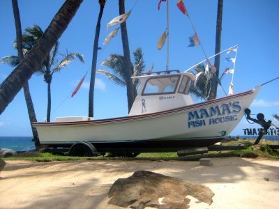 Paia - Ho'okipa - 2009