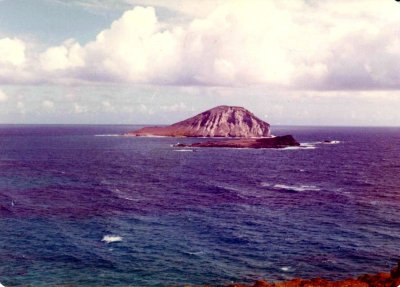 Rabbit Island