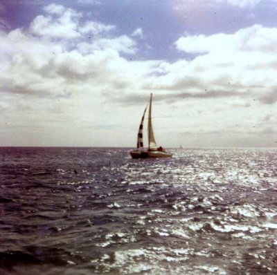 g3/96/533696/3/48242726.A8TrrEqb.jpg