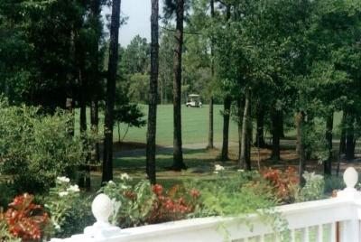 Back Yard View - 5th Hole