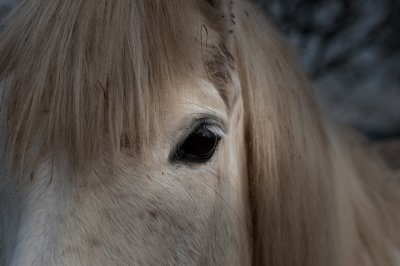 Regard