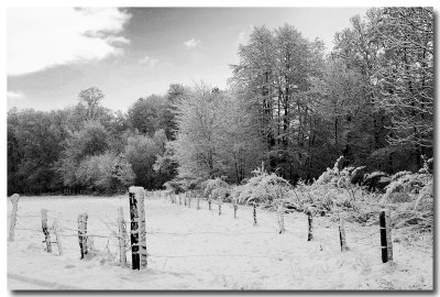 Valle de la Bruche en hivers