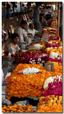 Jaipur: marche de fleurs
