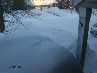 Looking out the living room window at the driveway