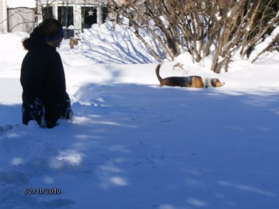 Goose bravely venturing into virgin snow, which is up to Lisa's waist.