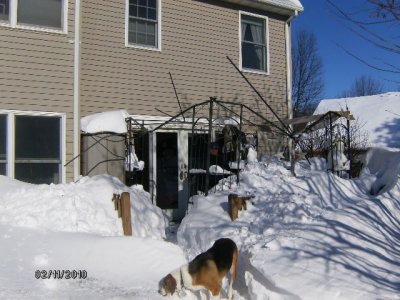 What's left of the canopy over the deck in the aftermath of the first storm, Feb 5-6.