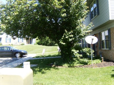 Looking north from front sidewalk (next building)