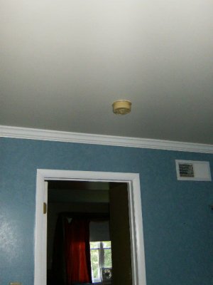 Smoke Detector (1)