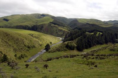 In land Timaru