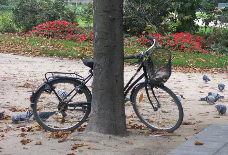 VELO PARISIEN