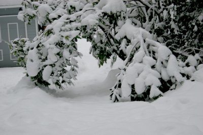 sledrun.jpg