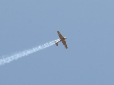 IMG_4465.JPG