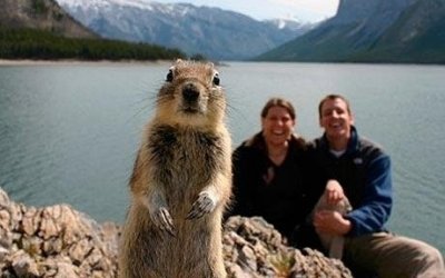 squirrel_photo_bomb.jpg