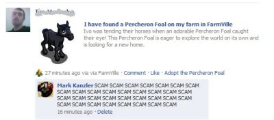 scam1.jpg