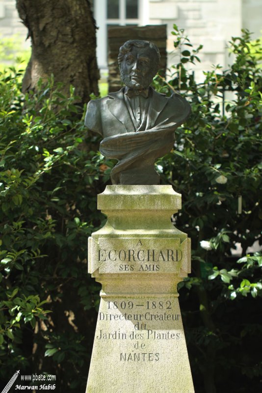 Nantes - Jardin des Plantes