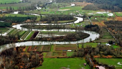 Life in the flood plain