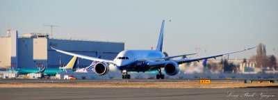 Boeing 787 wings flex