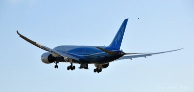 new wings on Boeing 787