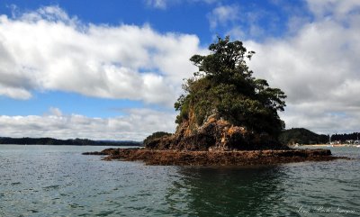 Taylor Island near Paihia