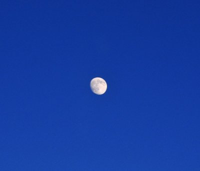 Moon from 43000 feet